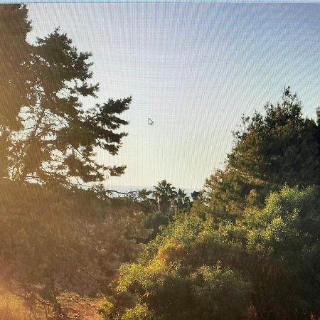 Siisa Appartamento La Muddizza Valledoria A 500 Mt Dal Mare Dış mekan fotoğraf